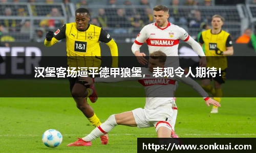 乐鱼电竞平台