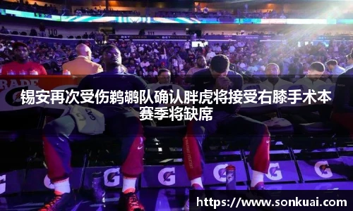 乐鱼电竞官网