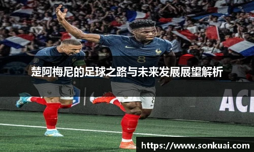 乐鱼电竞