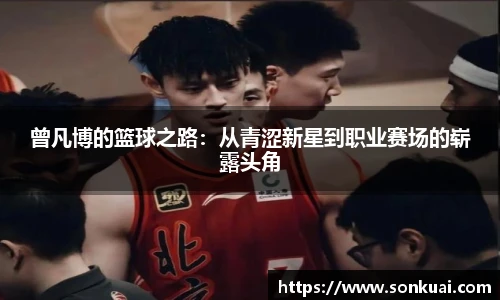 乐鱼电竞平台
